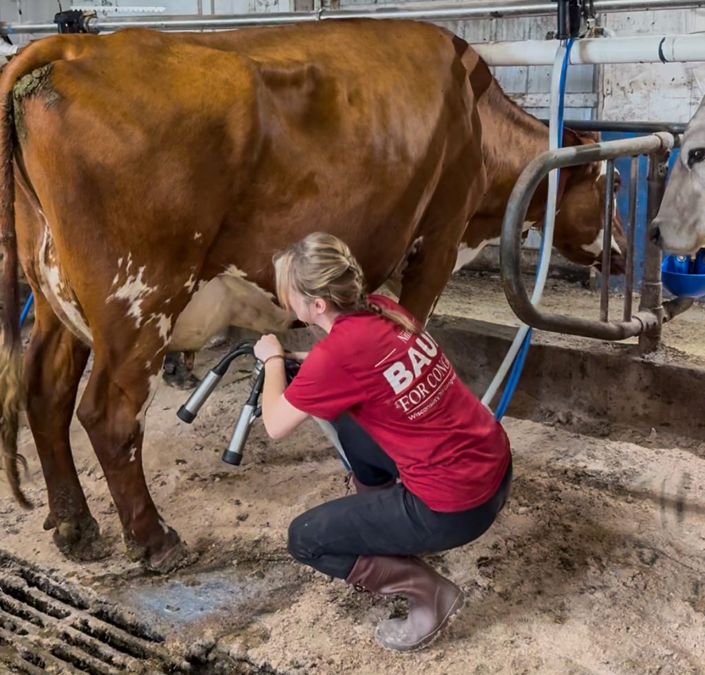 Niina Baum milking a cow